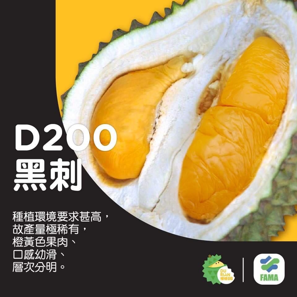 D200 黑刺