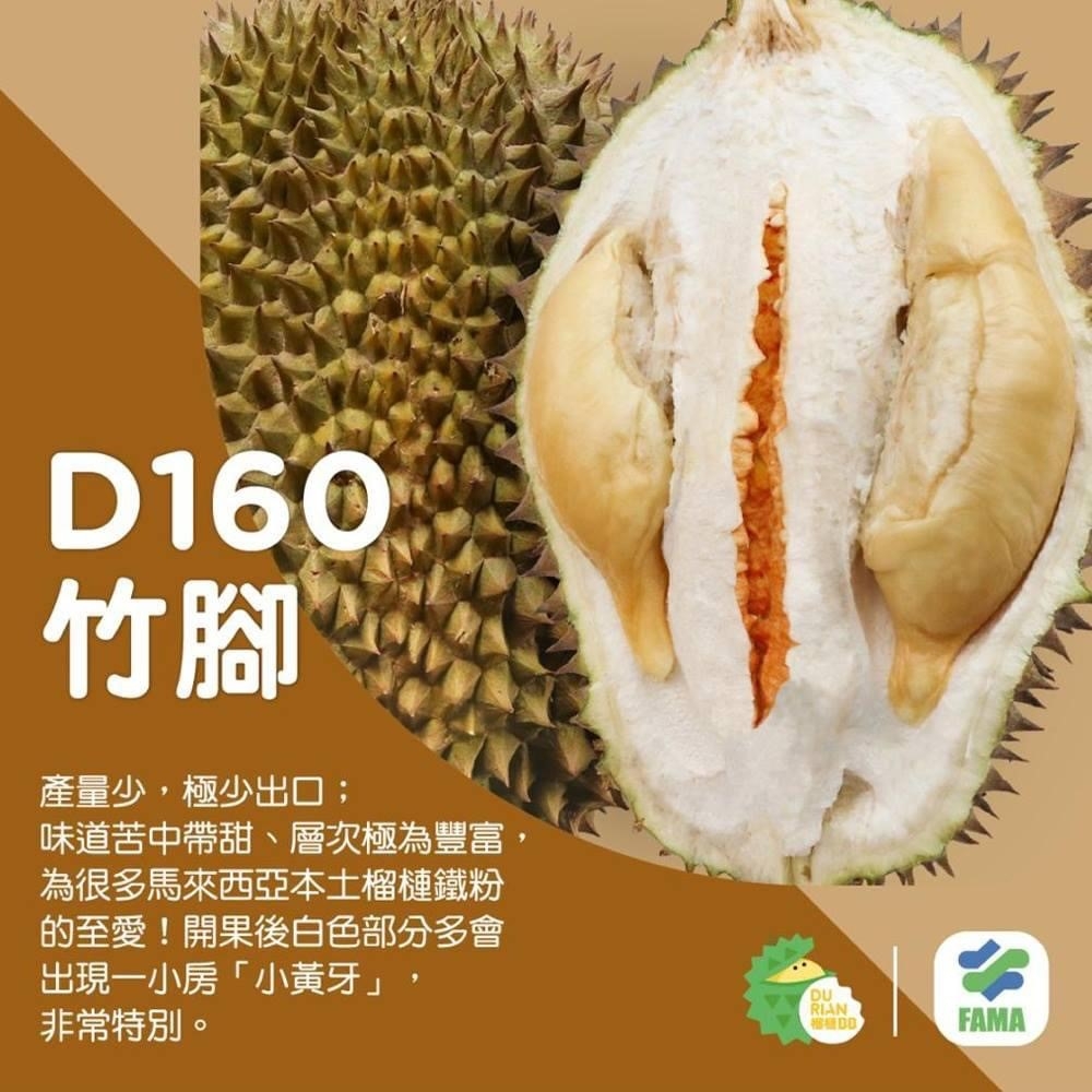 D160 竹腳