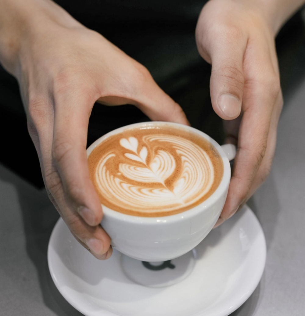 NOC Coffee Co.
