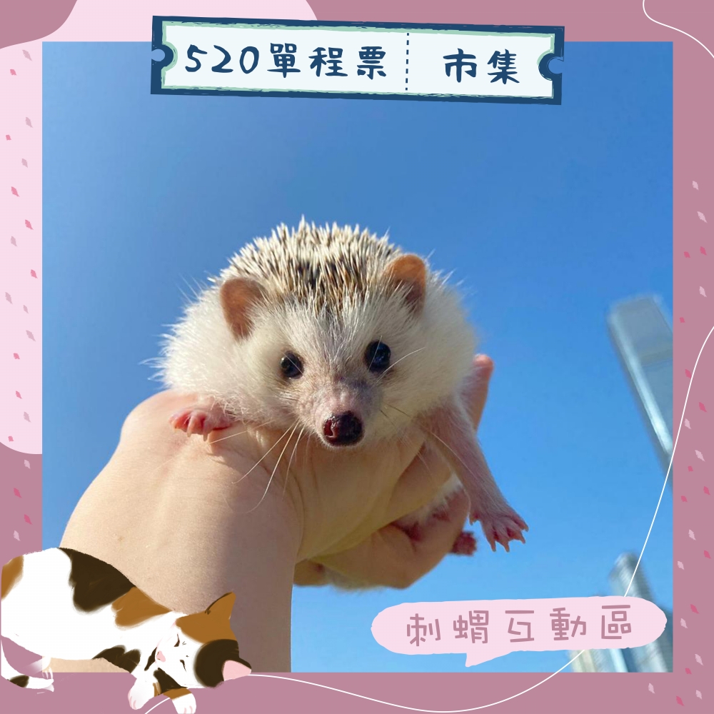 場內更有寵物店長坐鎮，包括刺蝟互動區、汪店長和兔店長，非常可愛！