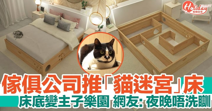 傢俱公司推出「貓迷宮」床！讓床底變成主子樂園！網友：夜晚唔洗瞓！