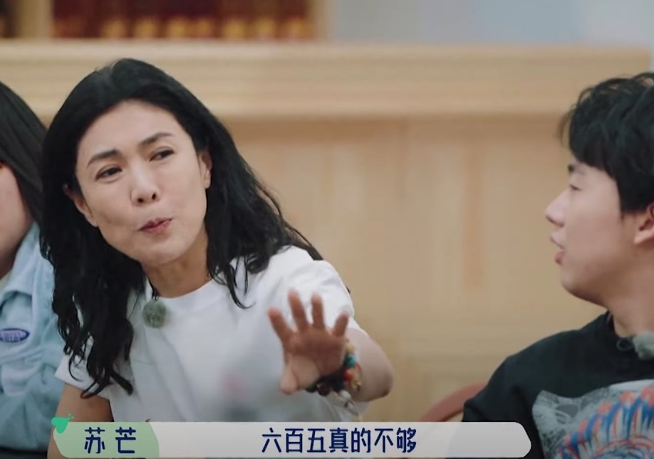 早前出演者之一嘅蘇芒就指650元人民幣作為飯錢太少