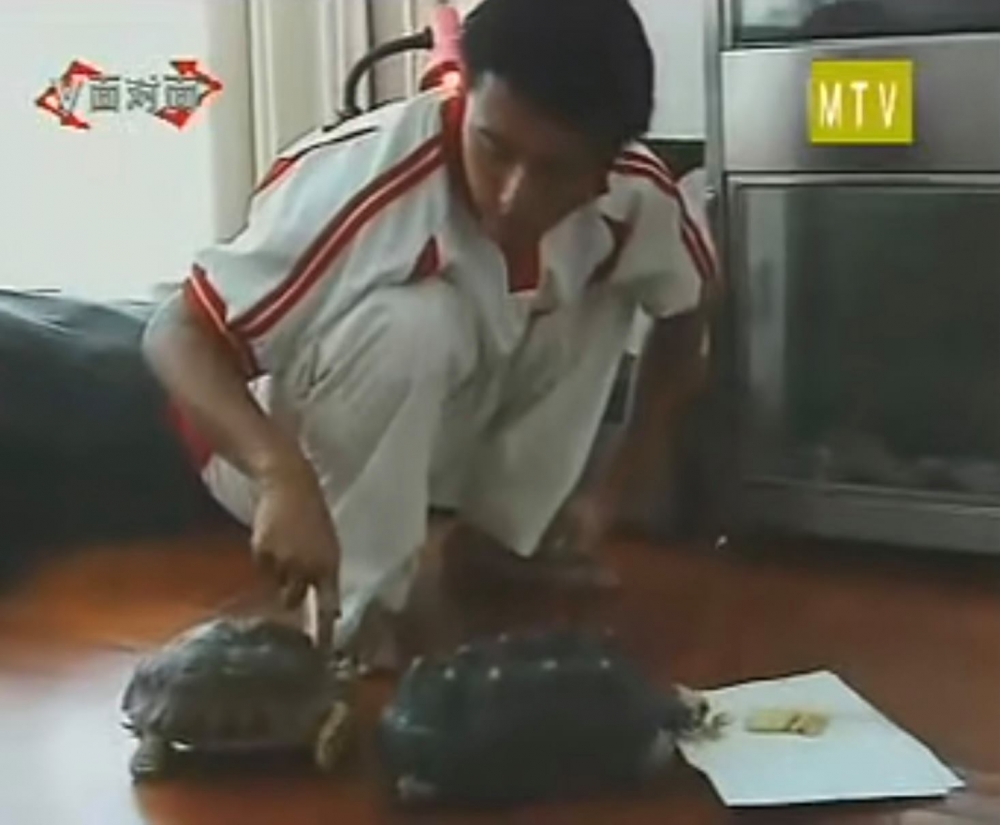 謝霆鋒不嬲都中意小動物,佢因為身體原因多年嚟都飼養唔少無毛寵物