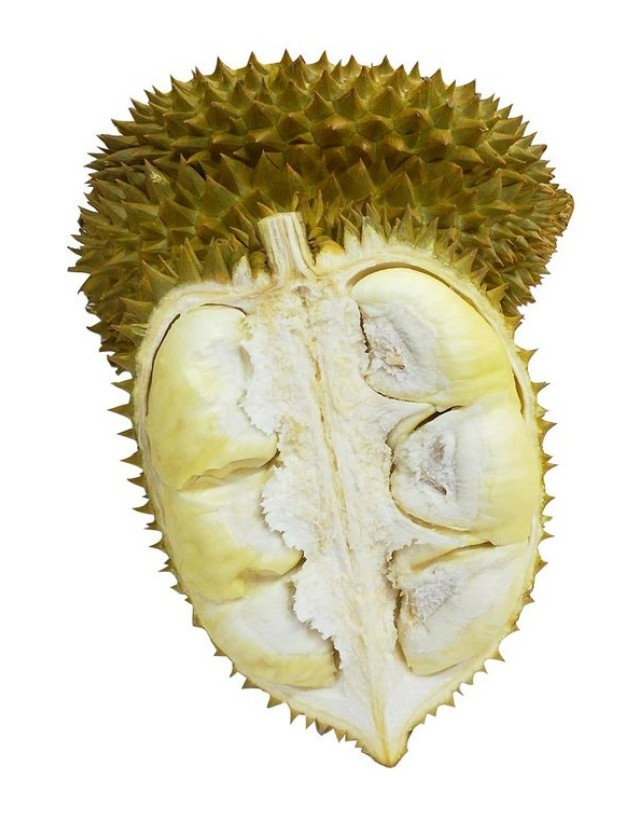 金枕頭