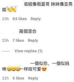 網友指大女同王祖藍幾乎一樣樣,而細女就似李亞男多啲