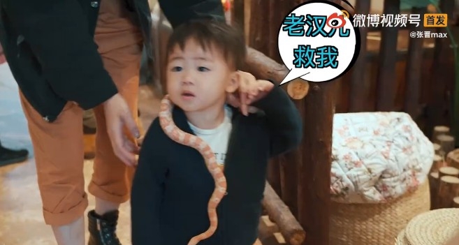 張晉 微博