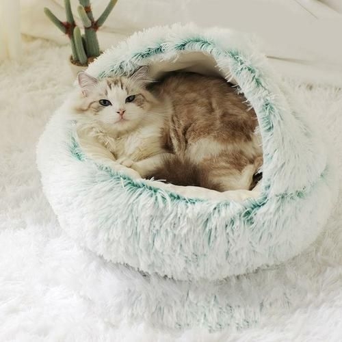 Pinterest