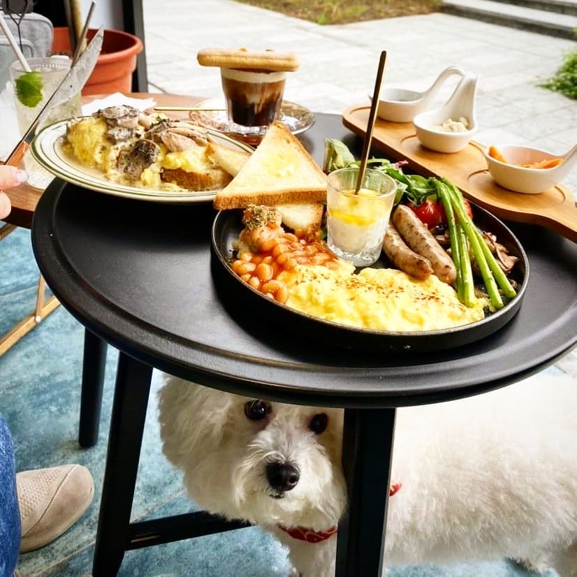 staywithcafehk IG