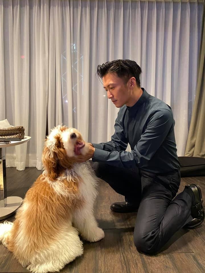 Mustard品種為Goldendoodle(黃金貴賓犬),係金毛尋回犬同貴婦狗嘅混種