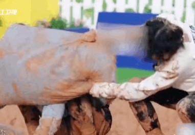 連登討論區 截圖