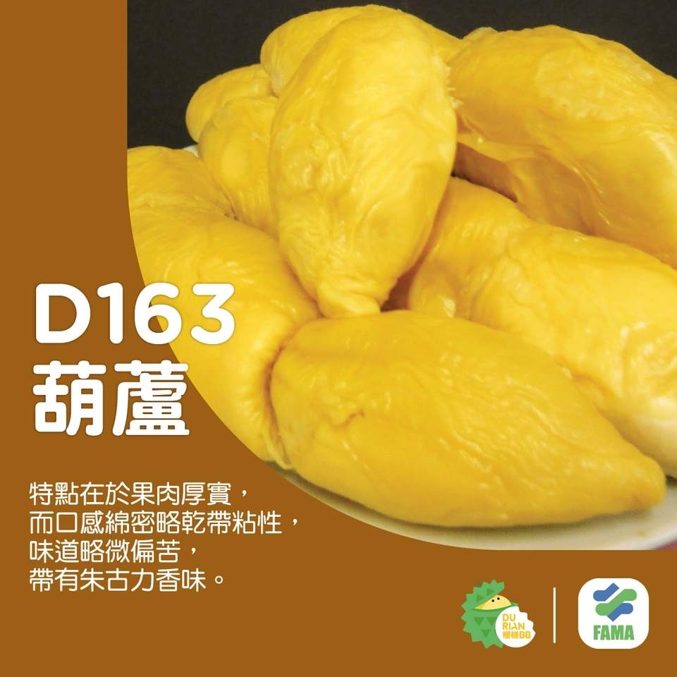 D163 葫蘆