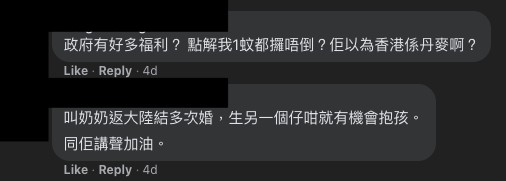 「生仔要考牌系列」FB