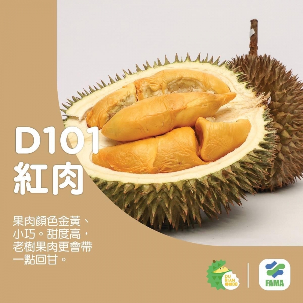 D101 紅肉