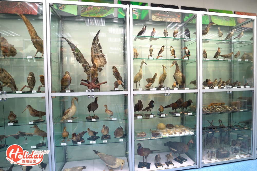 博物館由香港大學生物科學學院 Dr. Benoit Guénard及來自巴西的昆蟲學家Aline,帶領專業團隊所管理。