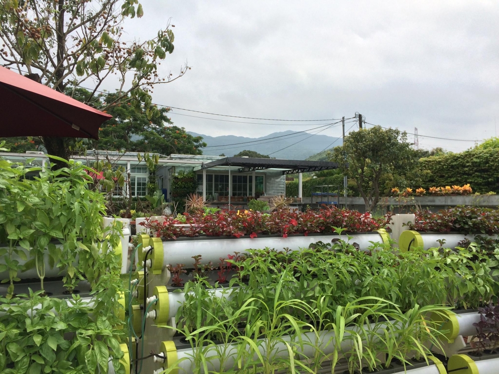 上水蕉徑環圃休閒村