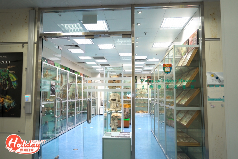 香港生物多樣性博物館