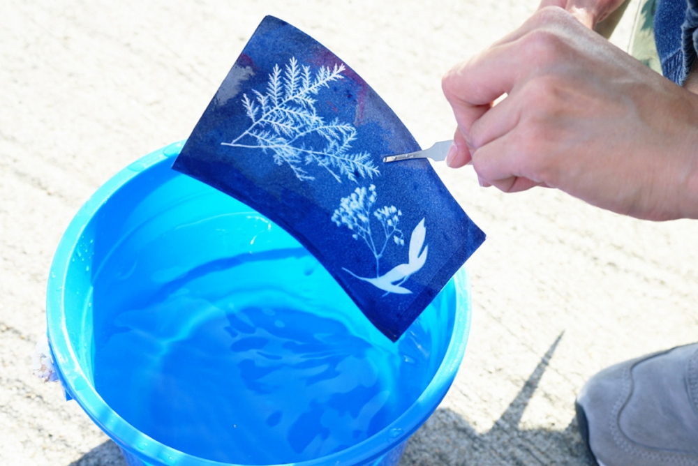 藍曬收納袋及明信片工作坊