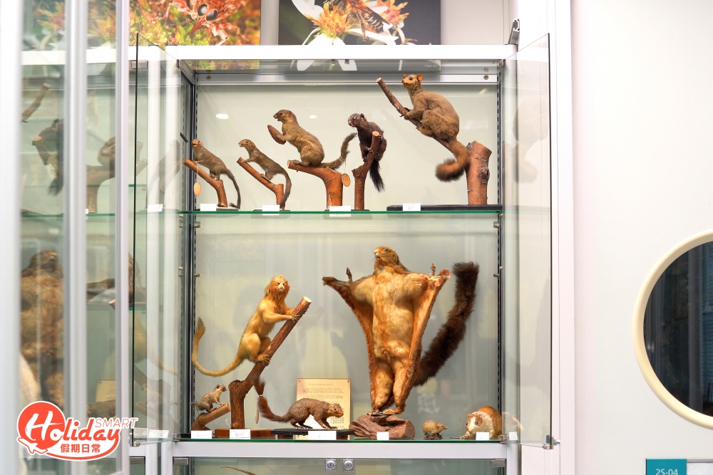 博物館是香港現存最大的生物標本收藏庫之一,標本總數量超過10,000個。