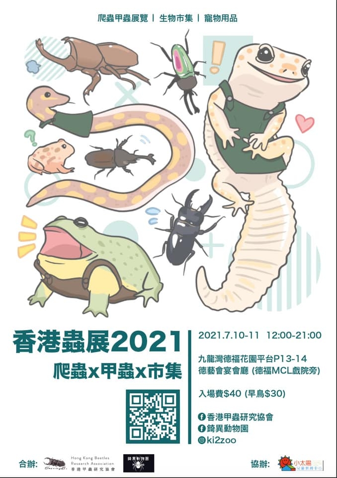 香港蟲展2021 甲蟲x爬蟲x市集