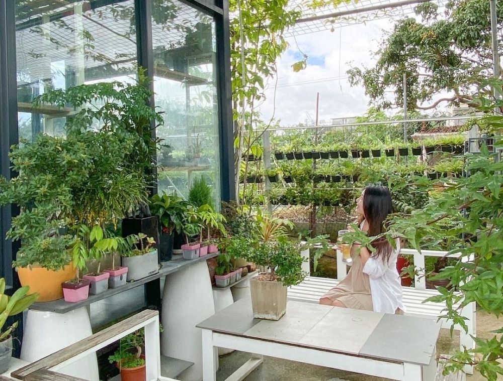四周被植物包圍
