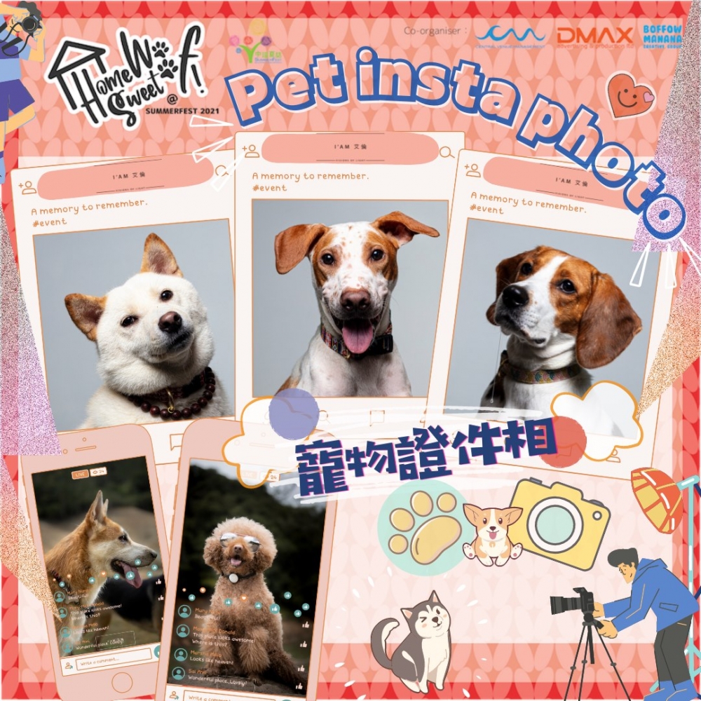 可以幫寵物影證件照!