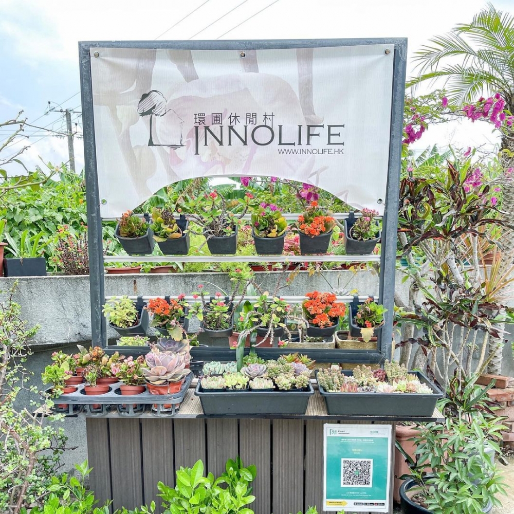 上水蕉徑環圃休閒村Innolife
