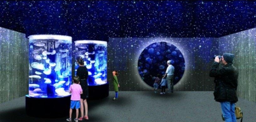 水母區,以萬花筒形式嘅圓柱型展覽缸展示