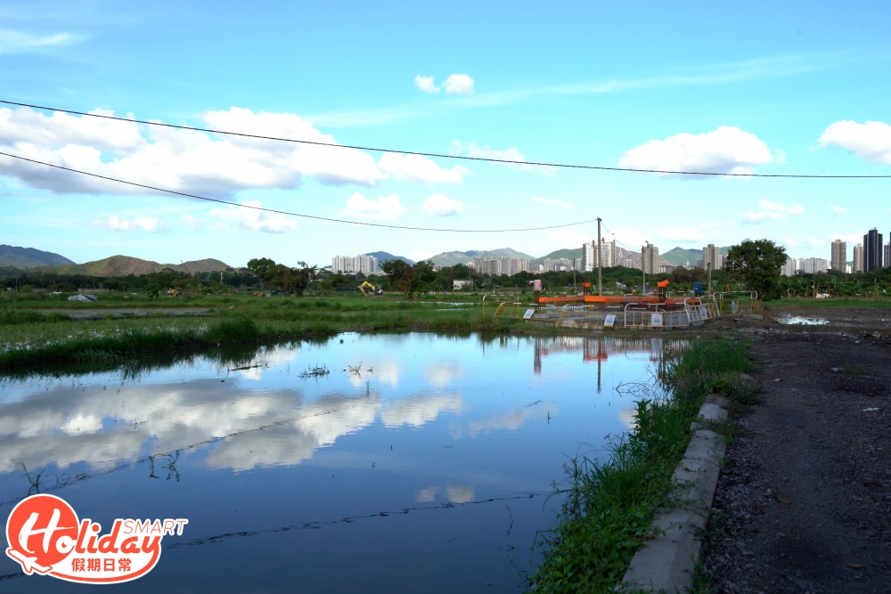 正在發展塱原濕地生態公園