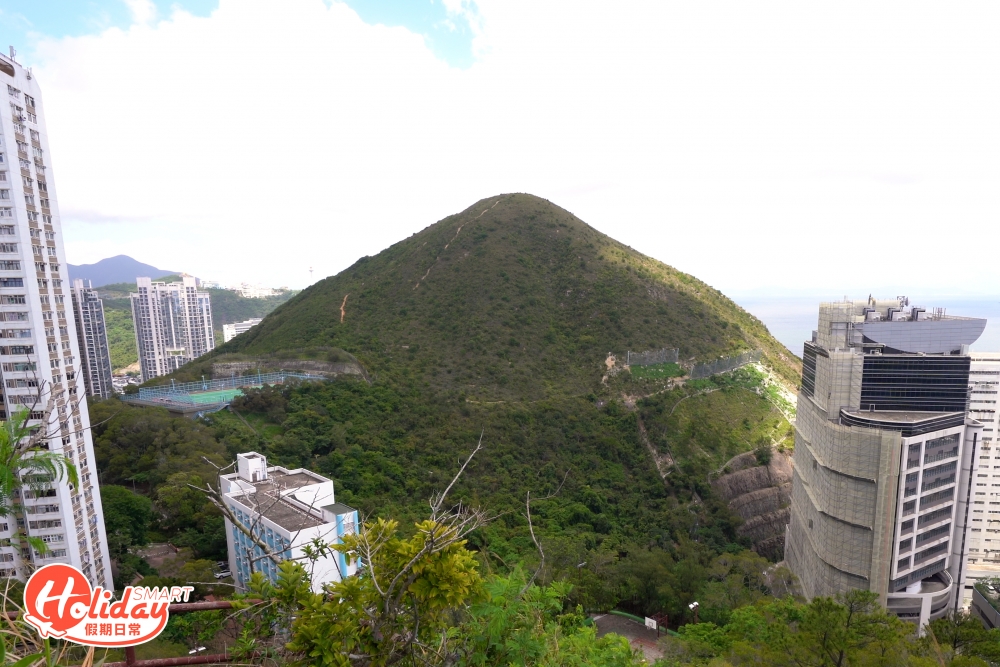 玉桂山