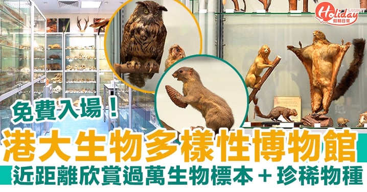 港大生物多樣性博物館 免費入場！過萬生物標本＋珍稀物種