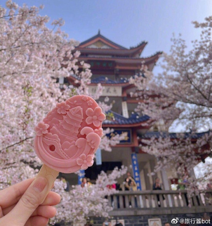 無錫黿頭渚櫻花