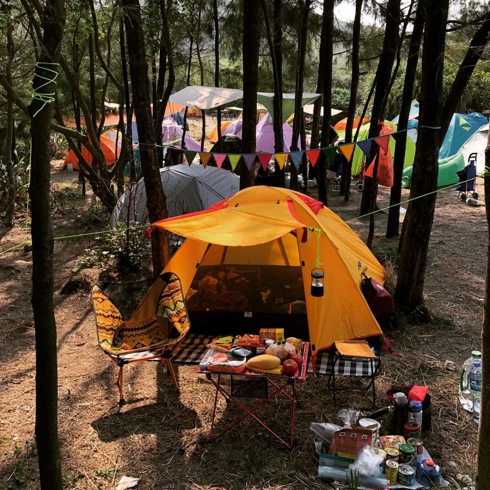 東龍島有分政府及非政府露營營地。