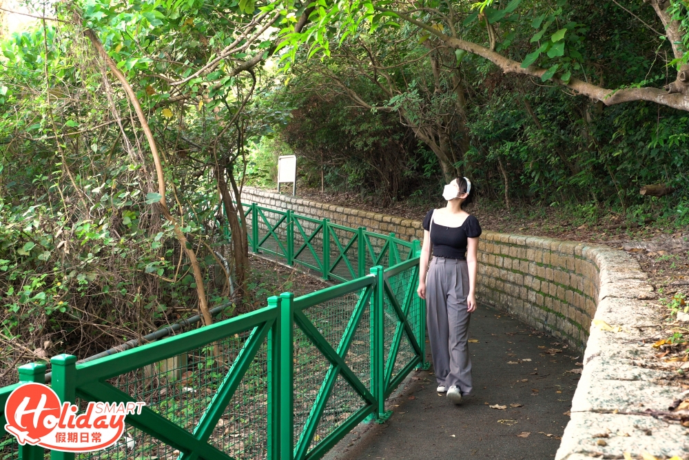 右邊靠著綠色欄杆即可通往鹿頸村