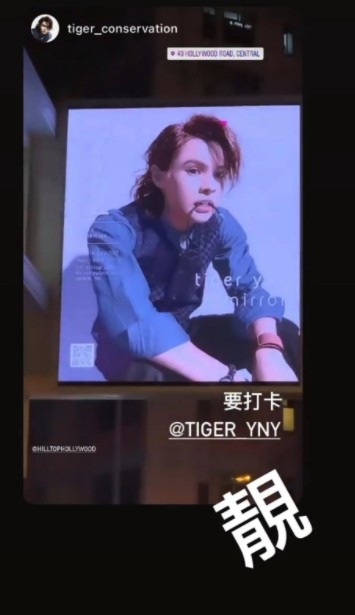 TigerIG