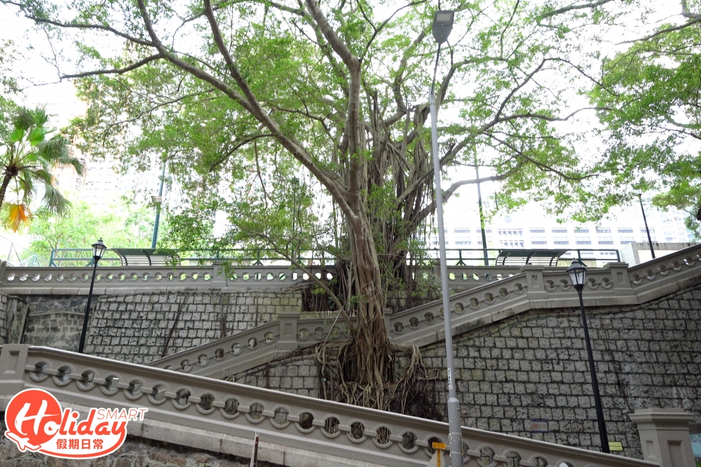 香港佐治五世紀念公園