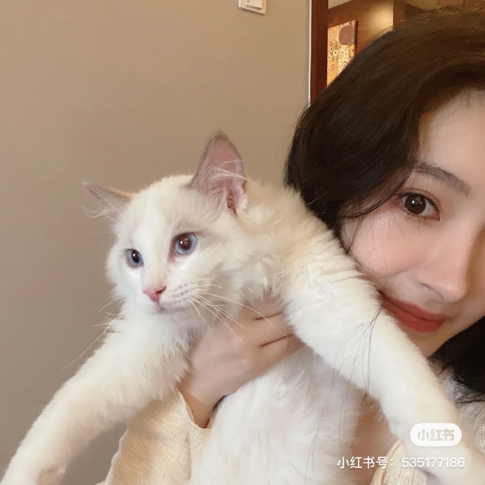 千草拉拉小姐小紅書