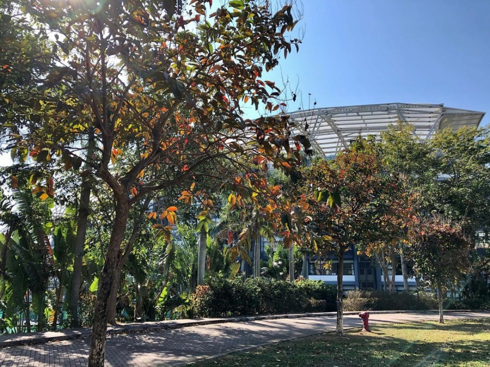 中央公園。
