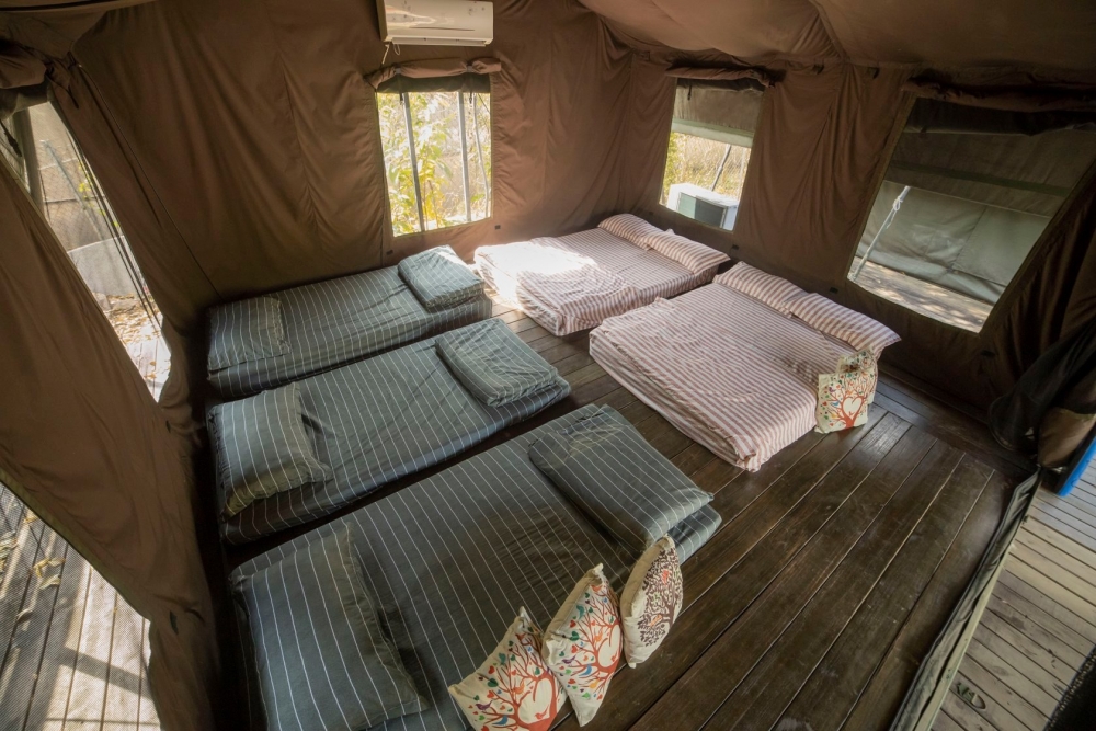 浪高長岸營地的大型南非營屋。