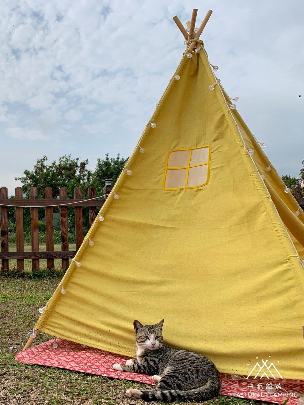 白泥部落是寵物友善營地。