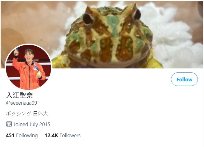 入江聖奈 Twitter