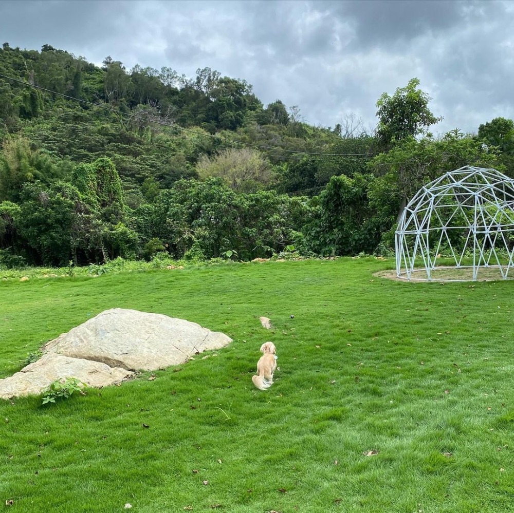 小蜜蜂農莊是一個寵物友善的地方。