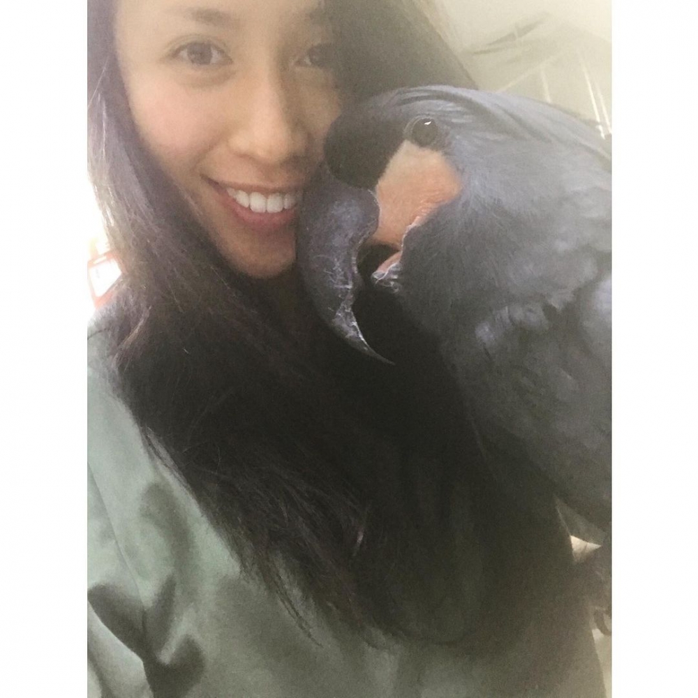 Katerina梁菁琳。