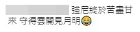 七仙羽 IG評論