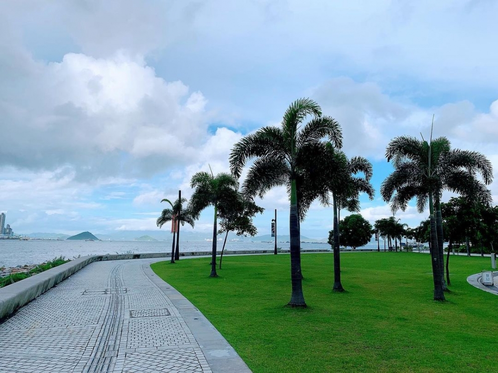 中秋賞月好去處：西九文化區藝術公園