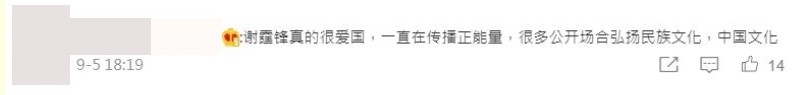 有內地網民相信謝霆鋒係真愛國人士。