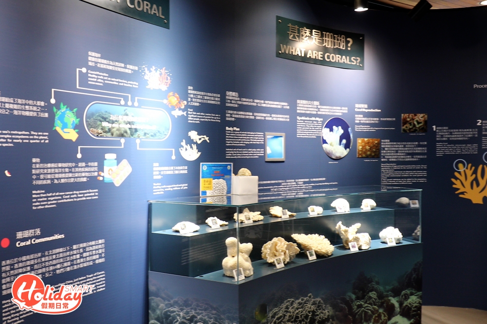展館正舉辦夏日珊瑚主題展覽「東「珊」再起」,可以看到各式各樣珊瑚,更可以趁機會觸摸到珊瑚實物。