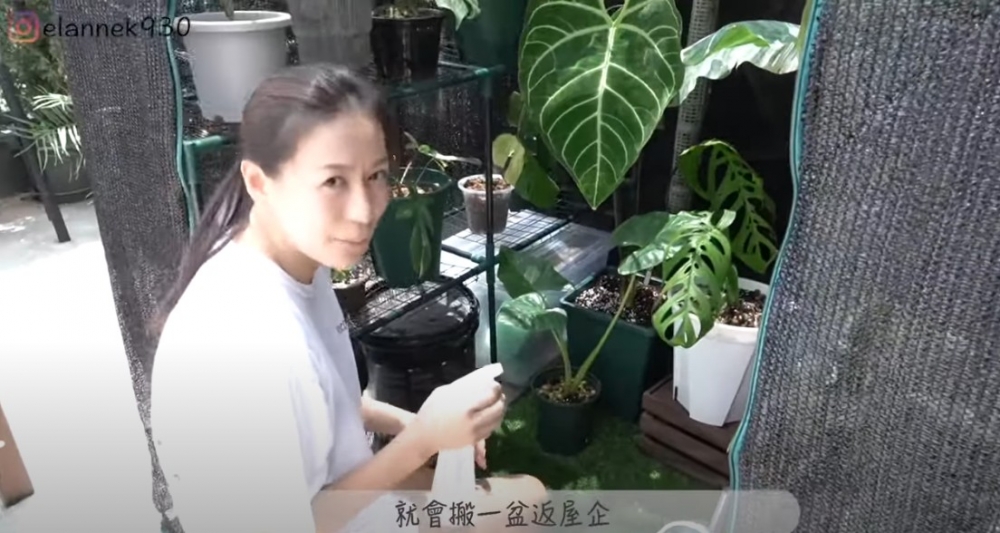 江若琳老公打造屬於自己嘅小花園!