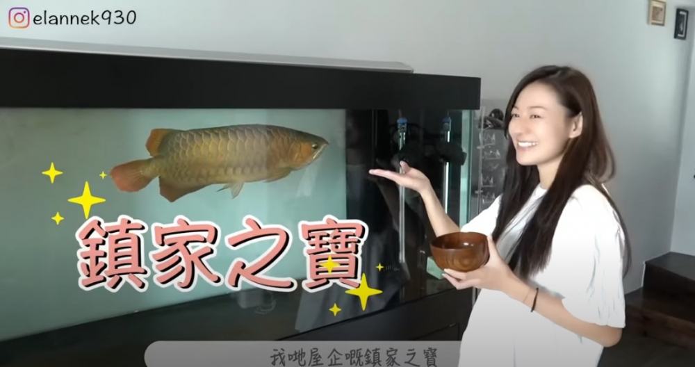 江若琳介紹家中嘅「鎮家之寶」!