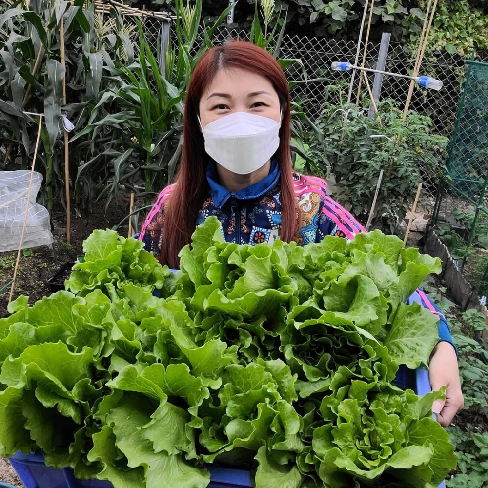 陳琪經常都會自行種植蔬菜!