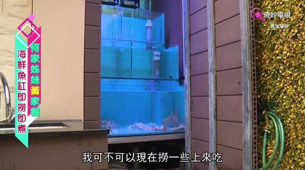 徐淑敏豪宅內設有私家海鮮魚缸